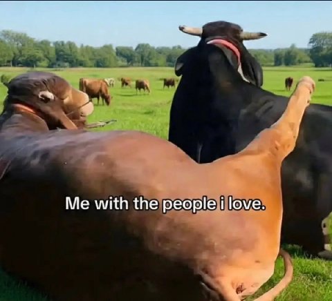 with the people love.