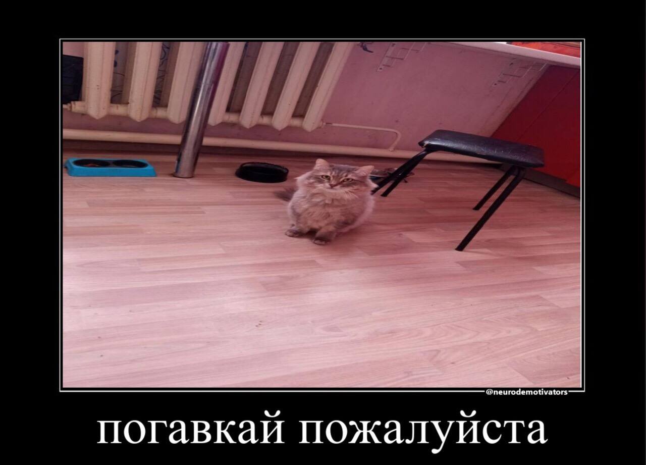 погавкай пожалуйста