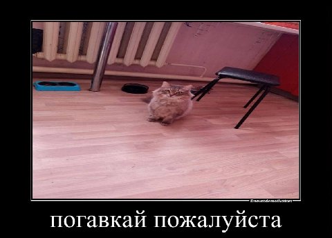 погавкай пожалуйста