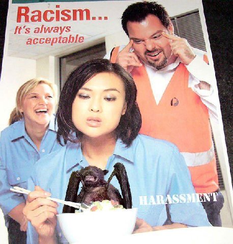 Racism... always acceptable {2