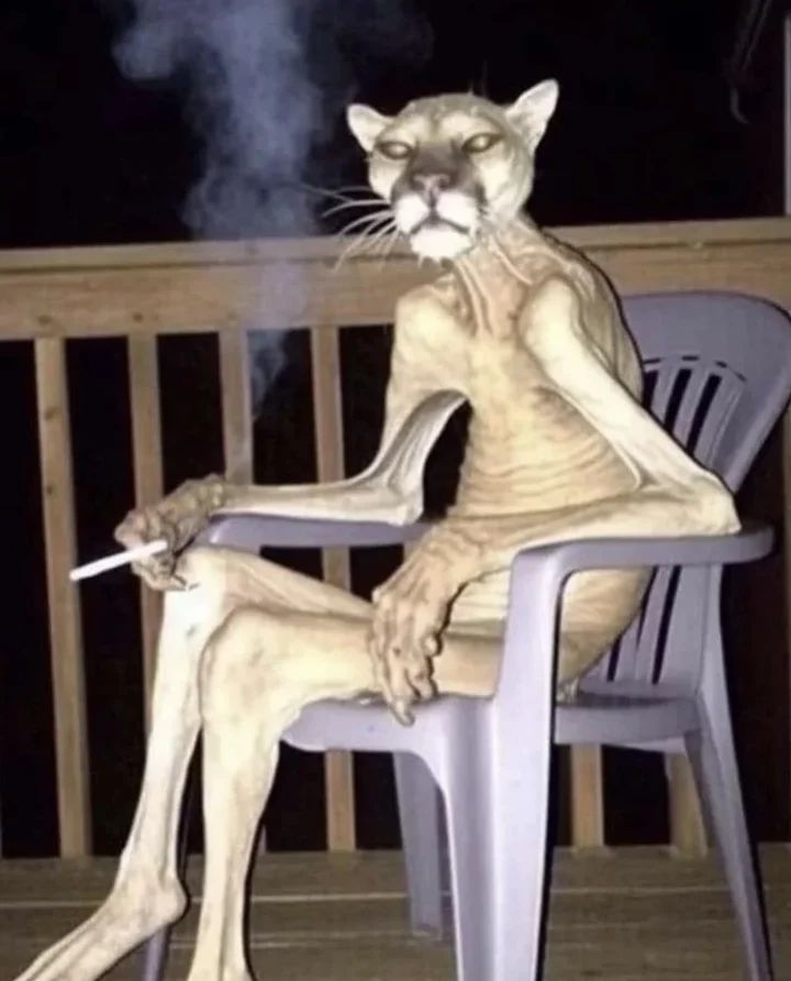 i у