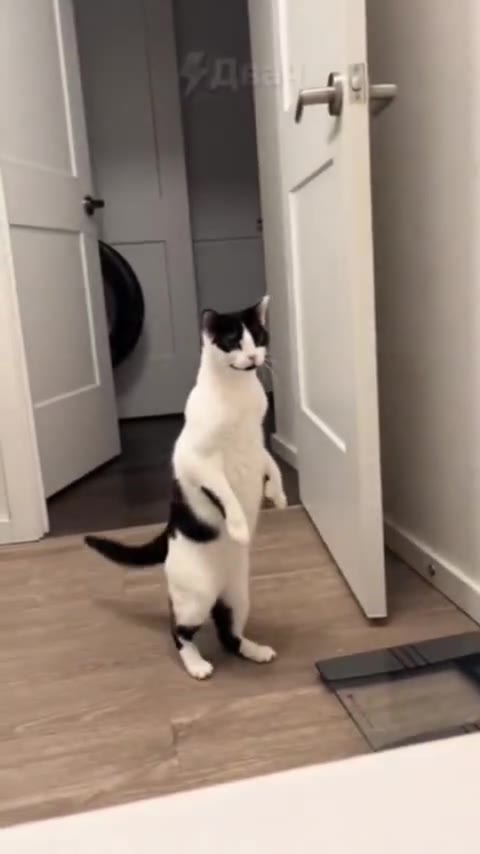 1 i
