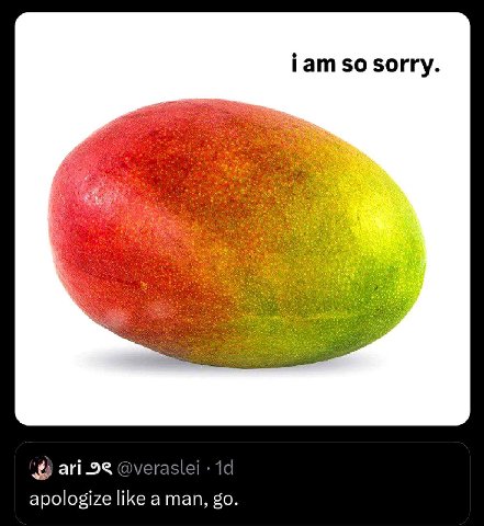 гат $0 sorry. i ari 28 @veraslei apologize like a man,