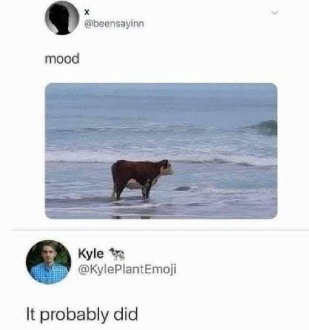 @beensayinn mood Kyle It probably did