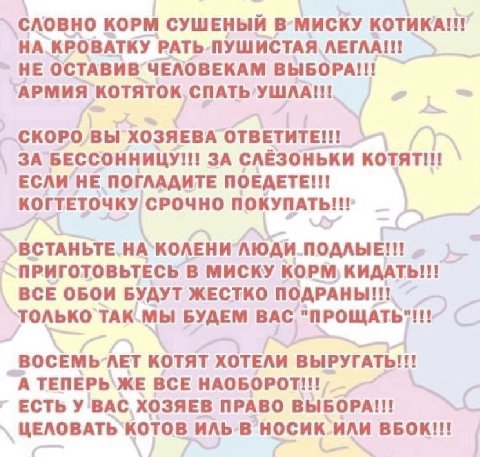 CAOBHO KOPM СУШЕНЫЙ В-МИСКУ KOTHKA!!! НА КРОВАТКУ РАТЬ.ПУШИСТАЯ ЛЕГЛА!!! НЕ OCTABMB ВЫБОРА!!! АРМИЯ KOTATOK СКОРО, Bbi ХОЗЯЕВА OTBETHTE!!! ЗА БЕССОННИЦУ!!! ЗА СЛЁЗОНЬКИ ЕСЛИ HE ПОГЛАДИТЕ ПОЕДЕТЕ!!! КО