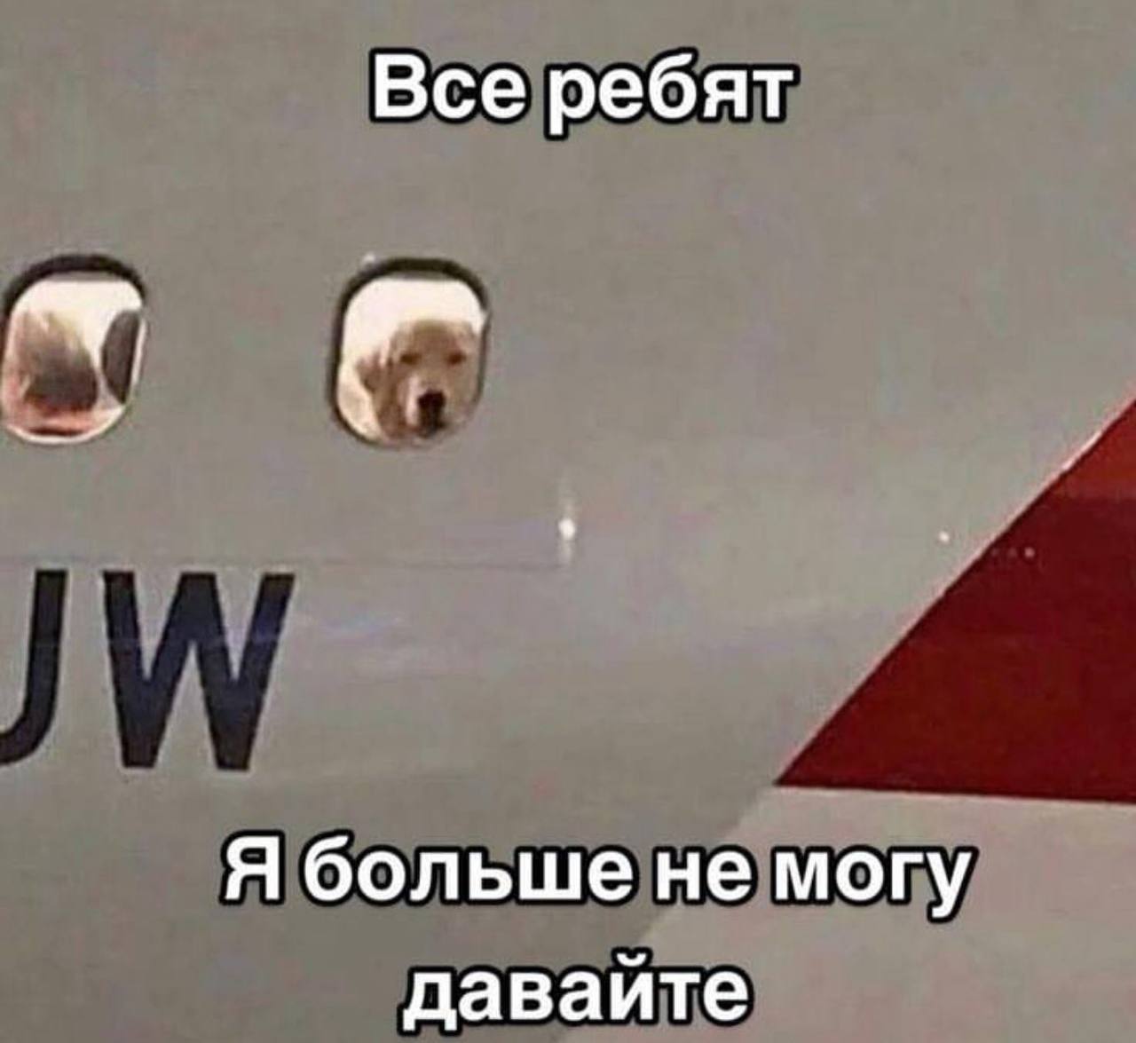 Все ребят Я больше не могу даваите