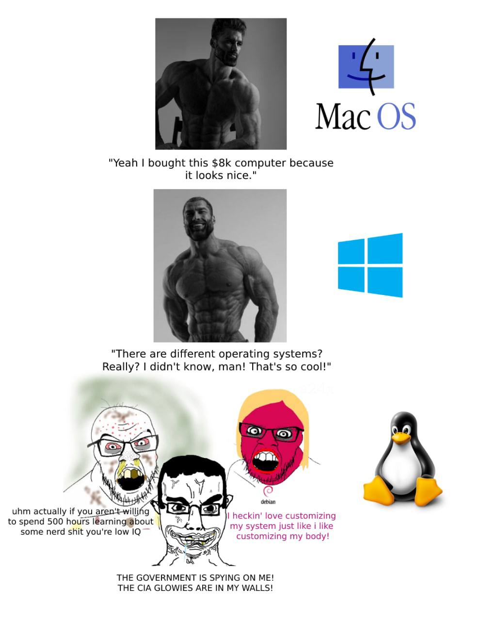 "Yeah bought this computer because it looks nice." "There are different operating systems? Really? didn't know, man! That's so cool!" 4 uhm actually if you heckin' love to spend 500 hours my system ju