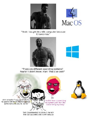 "Yeah bought this computer because it looks nice." "There are different operating systems? Really? didn't know, man! That's so cool!" 4 uhm actually if you heckin' love to spend 500 hours my system ju