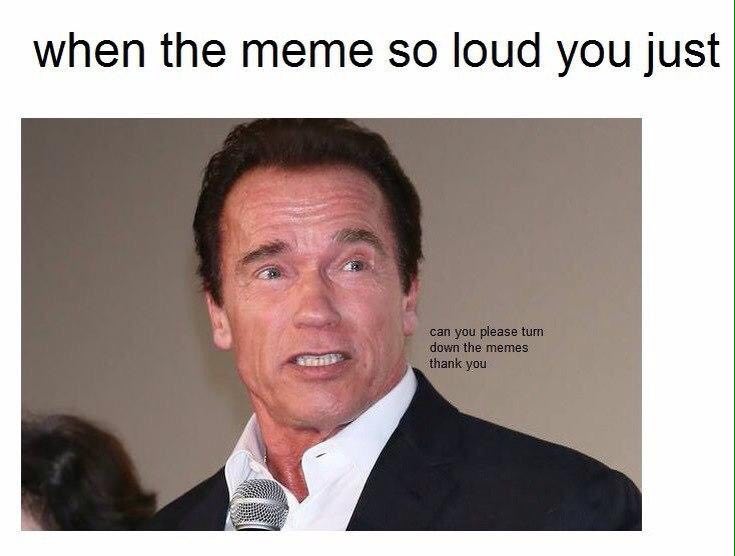 when the meme so loud you just