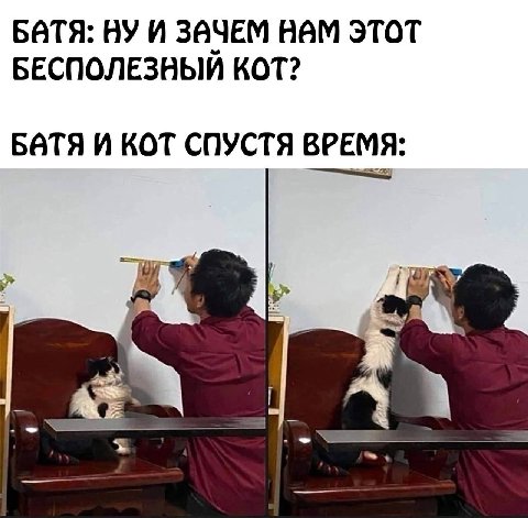 БАТЯ: НУ И ЗАЧЕМ ВВМ ЭТОТ БЕСПОЛЕЗНЫЙ КОТ? БАТЯ И КОТ СПУСТЯ ВРЕМЯ: 4 4 1