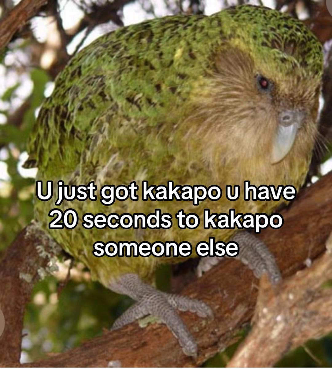 0 just got КаКаро и have 20 seconds to kakapo someone else 4 A