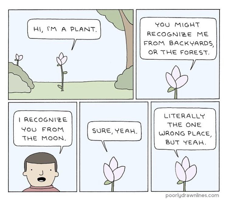 YOU MIGHT RECOGNIZE ME FROM BACKYARDS, OR THE FOREST. RECOGNIZE LITERALLY THE ONE FROM WRONG PLACE, THE MOON. BUT YEAH. poorlydrawnlines.com