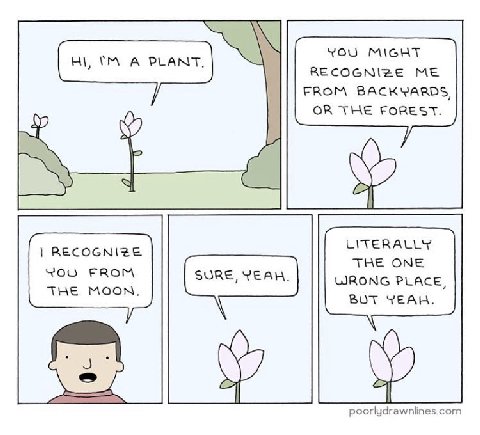 YOU MIGHT RECOGNIZE ME FROM BACKYARDS, OR THE FOREST. RECOGNIZE LITERALLY THE ONE FROM WRONG PLACE, THE MOON. BUT YEAH. poorlydrawnlines.com