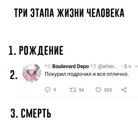 ТРИ ЭТАПА ЖИЗНИ ЧЕЛОВЕКА 1. РОЖДЕНИЕ Boulevard Depo @wher... 2. Покурил подрочил и все отлично. о 54 835 3. СМЕРТЬ