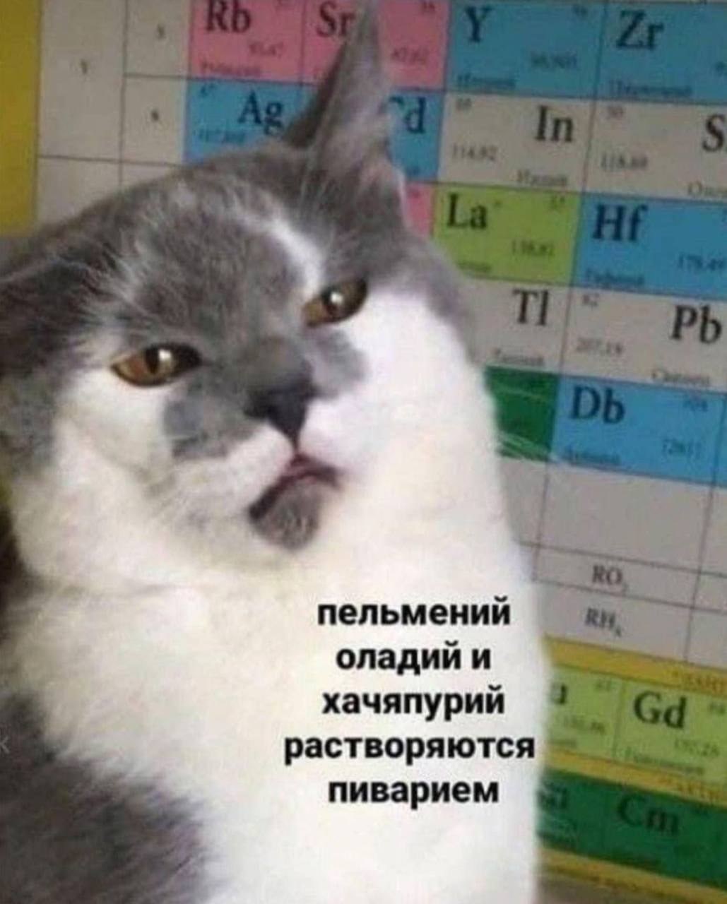 пельмений оладий и хачяпурий растворяются пиварием