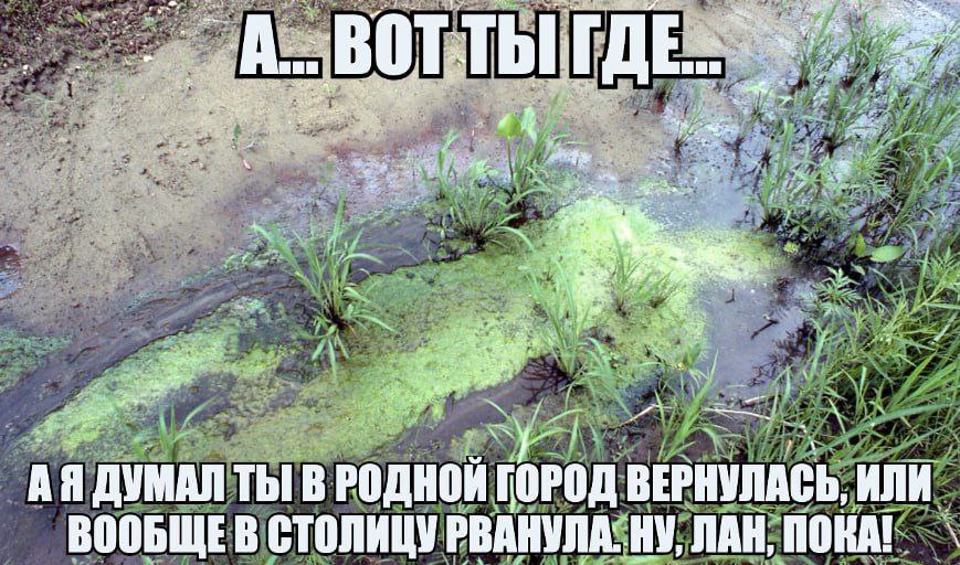 unt A, 7 2 3 fly и и 7 ДУМАЛ ТЫ В РОДНОИ ГОРОД ВЕРНУЛАСЬ, ИЛИ ВООБЩЕВ СТОЛИЦУ РВАНУЛА: НУ, NAH, MOKA!
