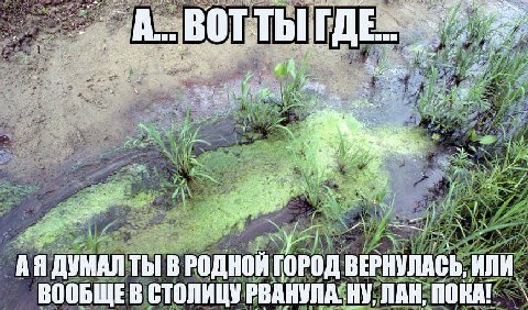 unt A, 7 2 3 fly и и 7 ДУМАЛ ТЫ В РОДНОИ ГОРОД ВЕРНУЛАСЬ, ИЛИ ВООБЩЕВ СТОЛИЦУ РВАНУЛА: НУ, NAH, MOKA!