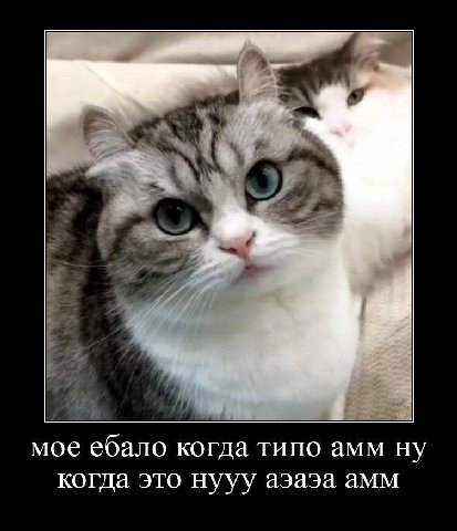 мое ебало когда типо амм ну когда это нууу аэаэа амм
