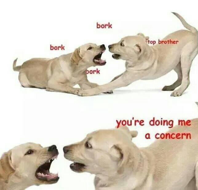 bork you're doing 1