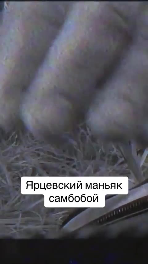 Ярцевский маньяк самбобой