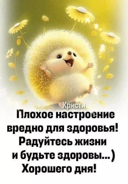 29 Плохое настроение вредно для здоровья! Радуйтесь жизни и будьте здоровы... Хорошего дня!