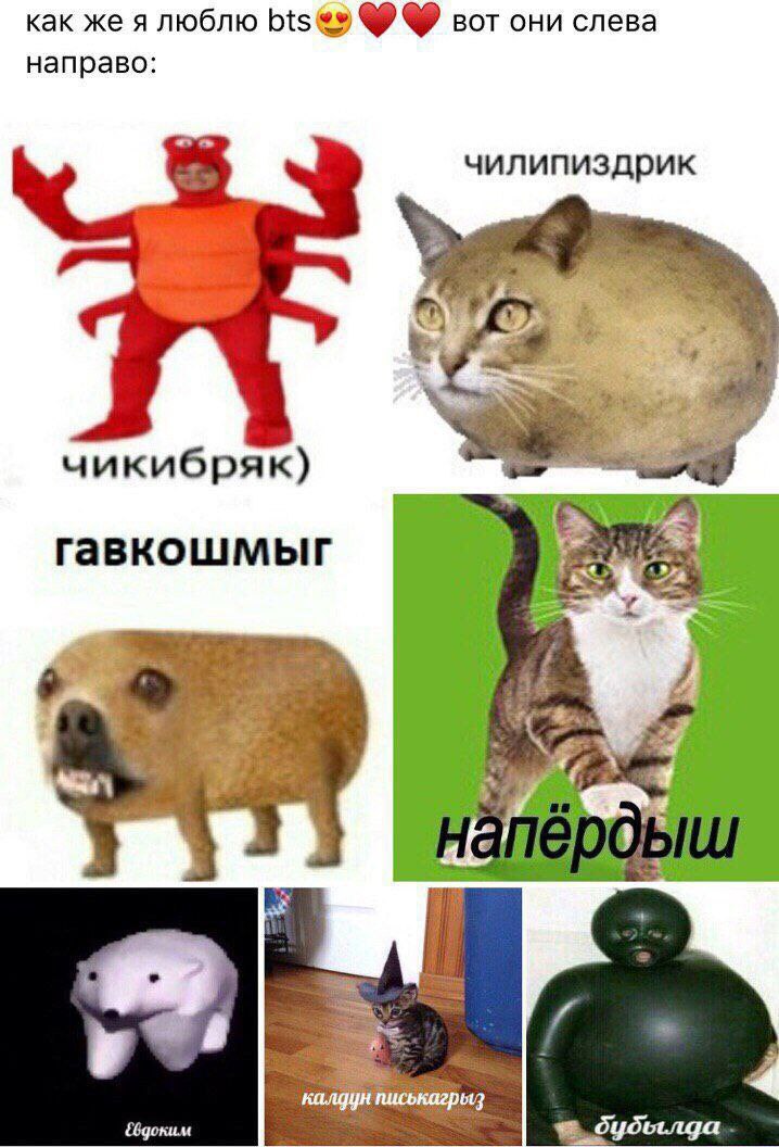 как же я люблю bts вот они слева направо: чилипиздрик чикибряк) гавкошмыг a нап 4 калдун писькагрыз 4