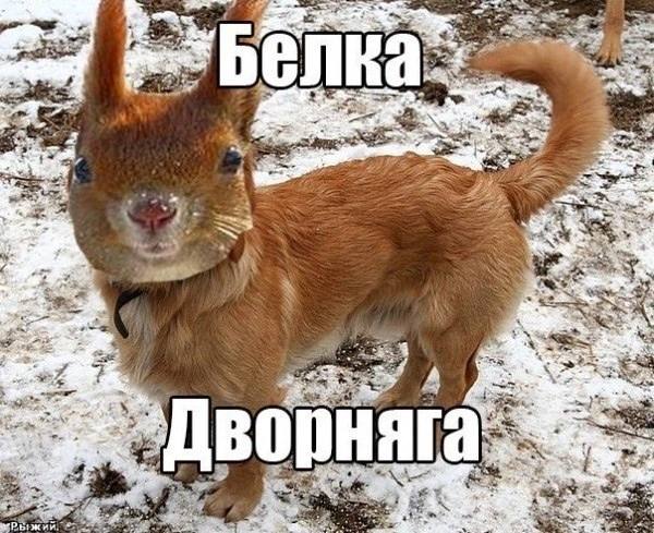 4 the 23 4} 2 a К Sees 4 2 4 4 a 4 A