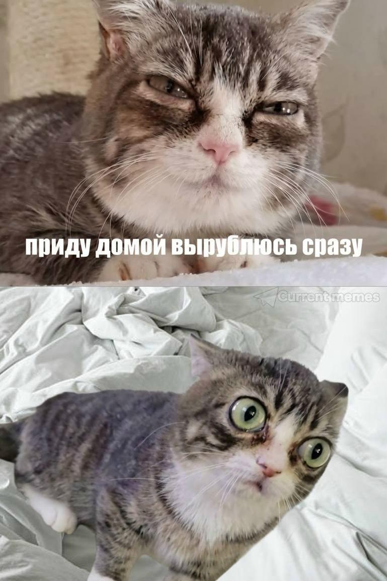 приду домой сразу 4 my