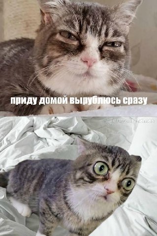 приду домой сразу 4 my