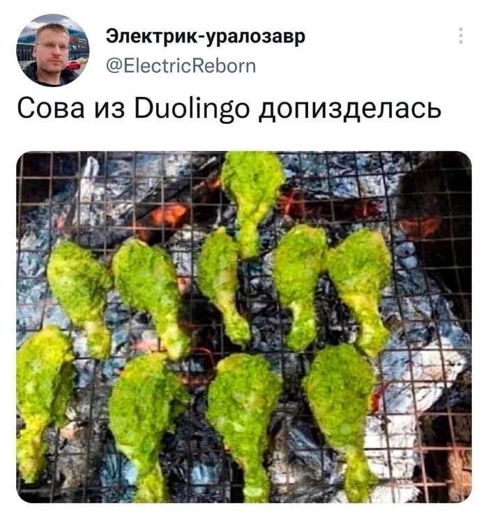 Электрик-уралозавр @ElectricReborn Сова из Duolingo допизделась ere” у