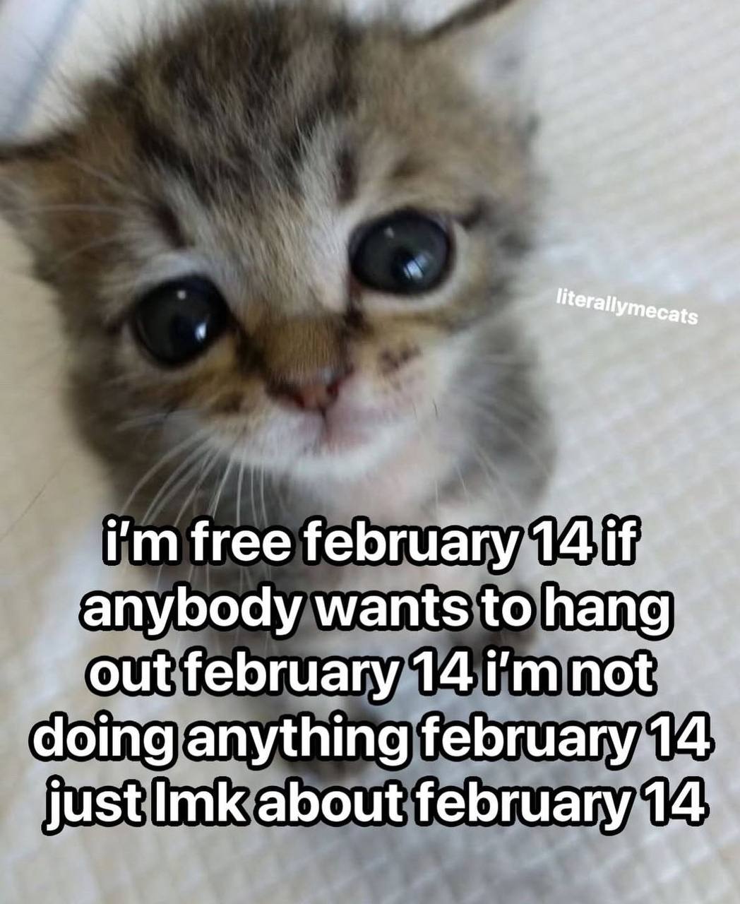 free february 14 if anybody wants to hang out february 14 doing anything february 14 just Imk about february