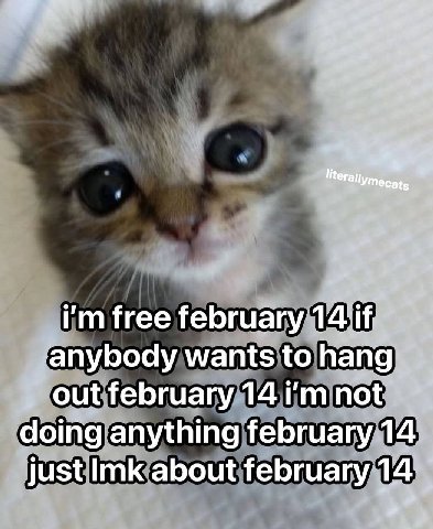 free february 14 if anybody wants to hang out february 14 doing anything february 14 just Imk about february