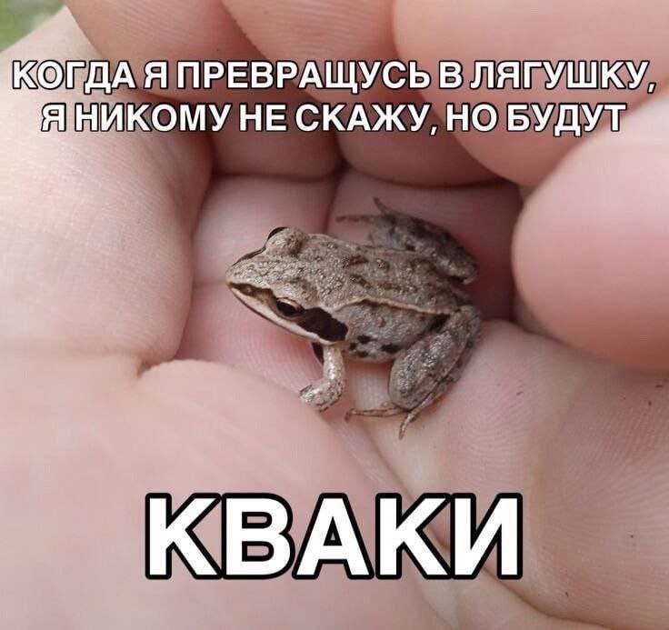 КОГДА Я ПРЕВРАЩУСЬ В ЛЯГУШКУ, Я НИКОМУ НЕ СКАЖУ, БУДУТ,