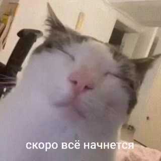 скоро всё начней® яж.