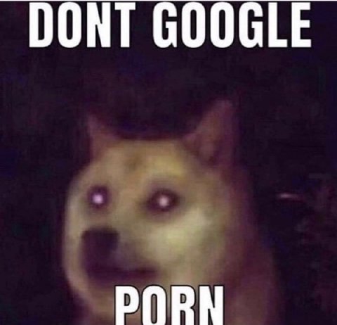 DONT GOOGLE