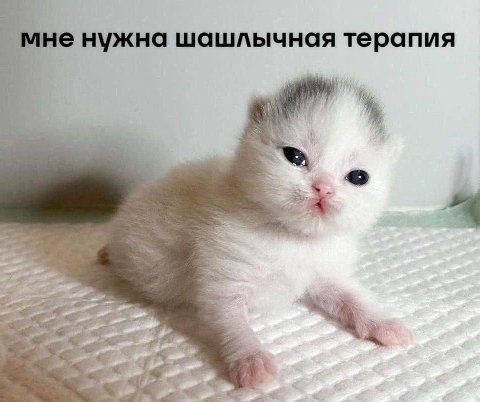 1 мне нужна шашлычная терапия 4 в.