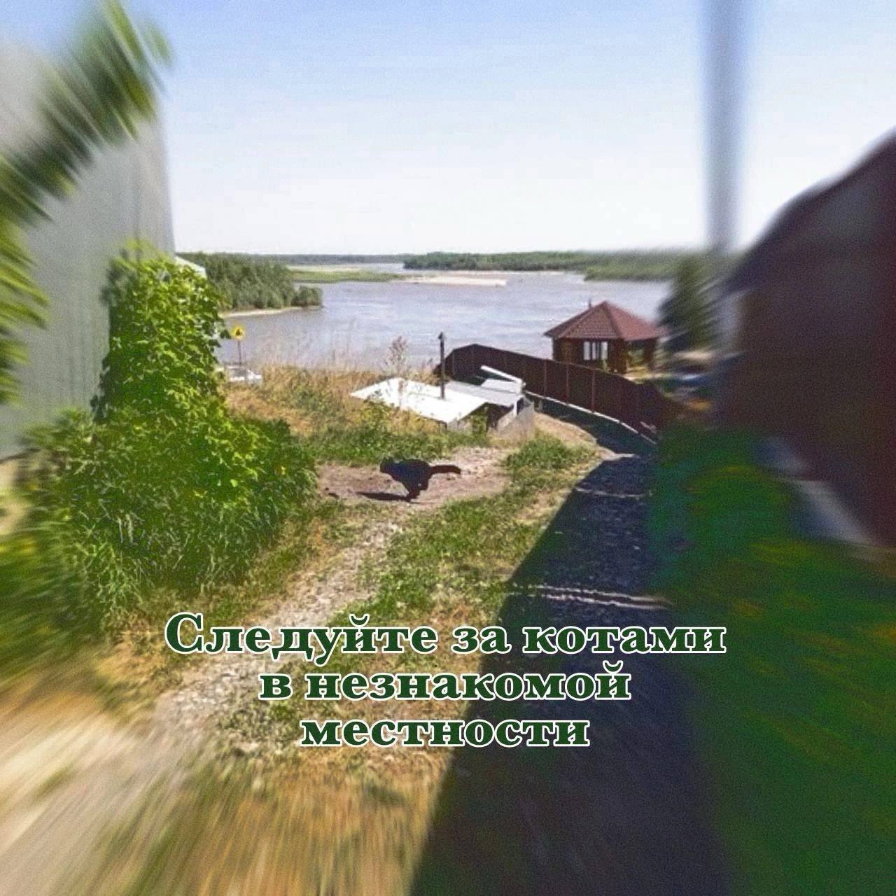 у: A vig Mer AKOMOM