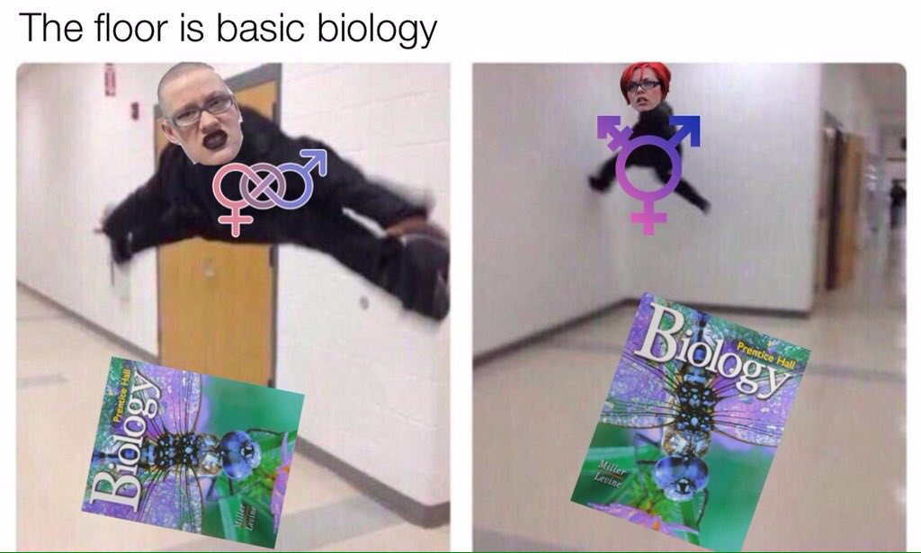 The floor is basic biology