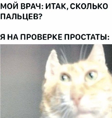 МОЙ ВРАЧ: ИТАК, СКОЛЬКО ПАЛЬЦЕВ? ЯНА ПРОВЕРКЕ ПРОСТАТЫ