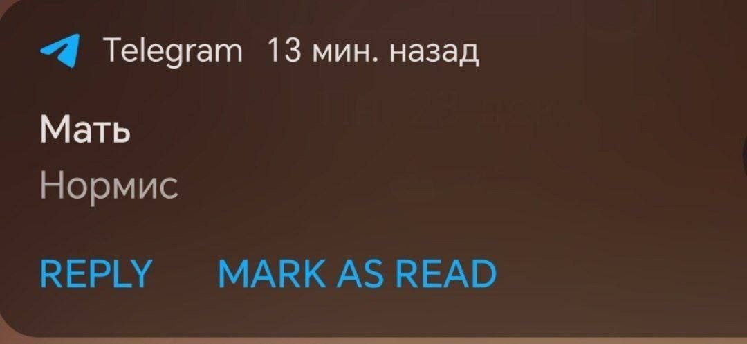 “4 Telegram 13 мин. назад Мать Нормис REPLY MARK AS READ