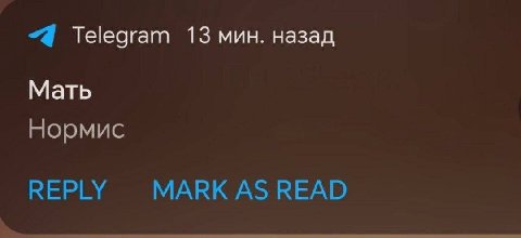 “4 Telegram 13 мин. назад Мать Нормис REPLY MARK AS READ