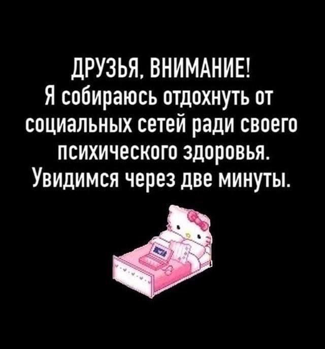 ДРУЗЬЯ, ВНИМАНИЕ! Я собираюсь отдохнуть от социальных сетей ради своего психического здоровья. Увидимся через две минуты.