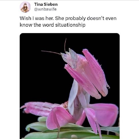 a Tina Sieben @wnbawife Wish was her. She probably doesn’t even know the word situationship у €4