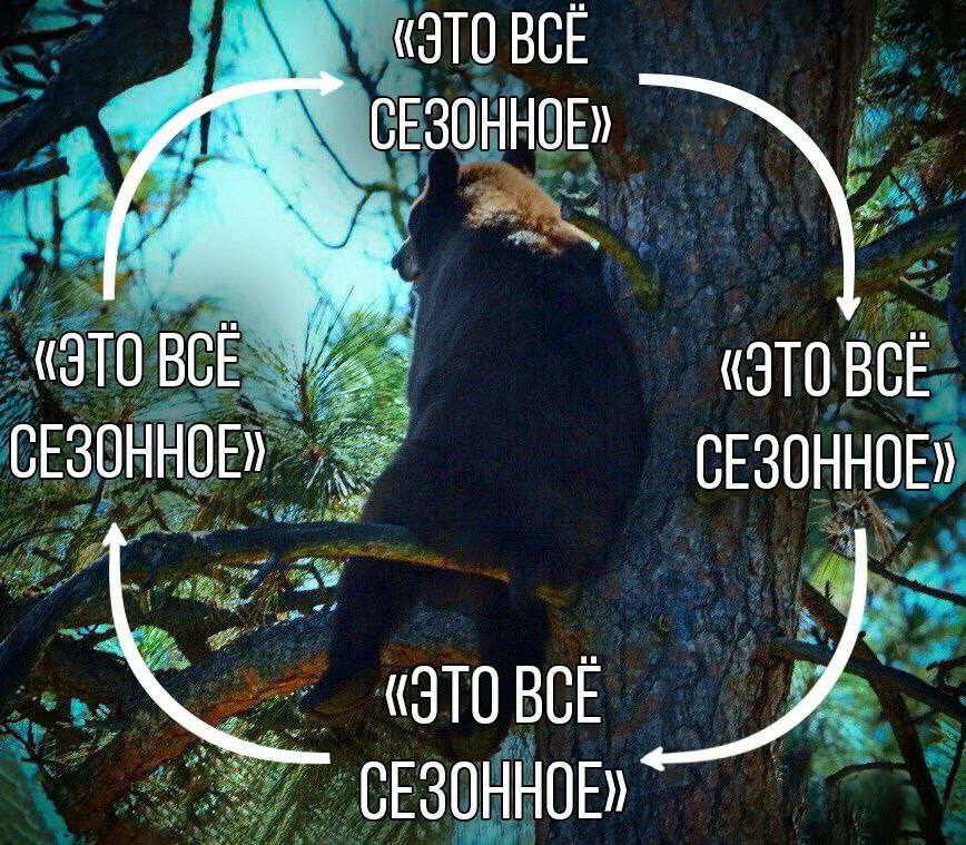СЕЗОННОЕ» «ЭТО BCE BCE СЕЗОННОЕ СЕЗОННОЕ» ВСЕ СЕЗОННОЕ»