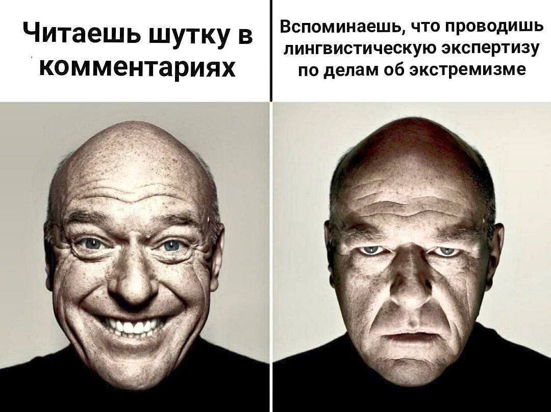 Читаешь шутку В Вспоминаешь, что проводишь лингвистическую экспертизу комментариях по делам об экстремизме