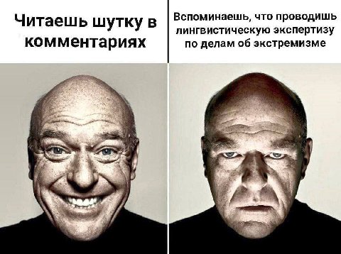 Читаешь шутку В Вспоминаешь, что проводишь лингвистическую экспертизу комментариях по делам об экстремизме