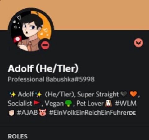 7: Adolf (Не/Пег) Professional Babushka#5998 (Не/Пег), Super Socialist Vegan Pet Lover #WLM #AJAB® #EinVolkEinReichEinFuhrerve ROLES