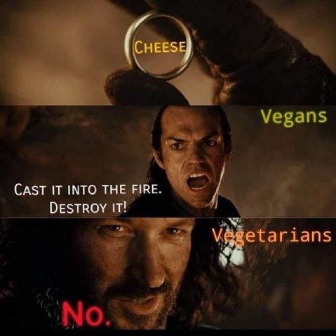 Vegans CAST IT INTO THE FIRE. ОЕЗТВОУ it! tarians No..