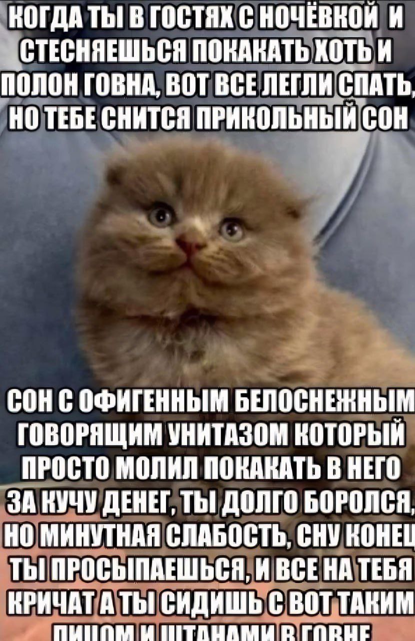 НОГДА ТЫ! В ГОСТЯХ С НОЧЁВНОЙ И СТЕСНЯЕШЬСЯ ПОНАНАТЬ ХОТЬ И ПОЛОН ГОВНА, ВОТ BCE ЛЕГЛИ СПАТЬ, НО ТЕБЕ СНИТСЯ ПРИКОЛЬНЫЙ СОН БЕЛОСНЕННЫМ ГОВОРЯЩИМ УНИТАЗОМ КОТОРЫЙ ПРОСТО МОЛИЛ ПОКАКАТЬ В НЕГО ЗА НУЧУ 