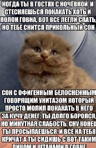 НОГДА ТЫ! В ГОСТЯХ С НОЧЁВНОЙ И СТЕСНЯЕШЬСЯ ПОНАНАТЬ ХОТЬ И ПОЛОН ГОВНА, ВОТ BCE ЛЕГЛИ СПАТЬ, НО ТЕБЕ СНИТСЯ ПРИКОЛЬНЫЙ СОН БЕЛОСНЕННЫМ ГОВОРЯЩИМ УНИТАЗОМ КОТОРЫЙ ПРОСТО МОЛИЛ ПОКАКАТЬ В НЕГО ЗА НУЧУ 